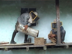 Bijenhouden in Zuid Bhutan. Een bijenvolk vanuit holle boomstam overzetten in een bijenkast.