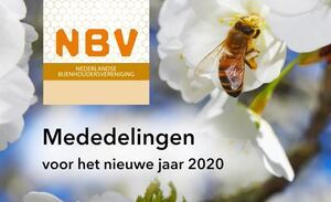 Ambities vereniging: werkplan en begroting 2020 vastgesteld